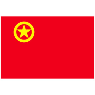 中国共青团团旗1号2号3号4号5号纳米防水手持团旗旗帜五四青年节装饰户外型学生手摇小团旗定做定制大号标准
