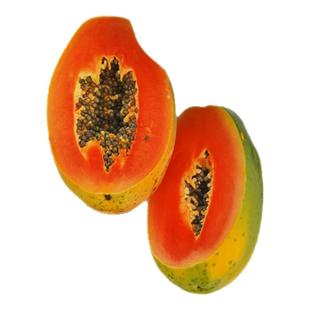 木瓜树果苗正宗冰糖红心矮化嫁接苗庭院名贵水果树果苗南北方种植