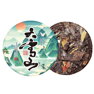 陈皮白茶小茶饼5克装多款口味普洱茶便携可批发源头厂家独立包装