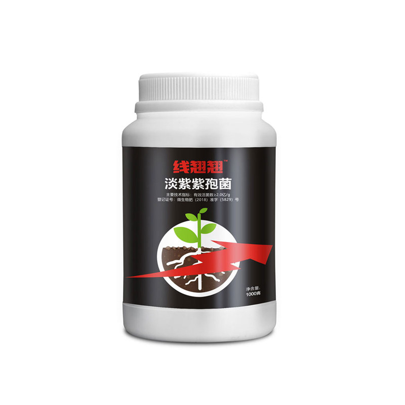 淡紫拟青霉淡紫紫孢菌线翘翘根结线虫专用淡紫拟青霉根结线虫克星