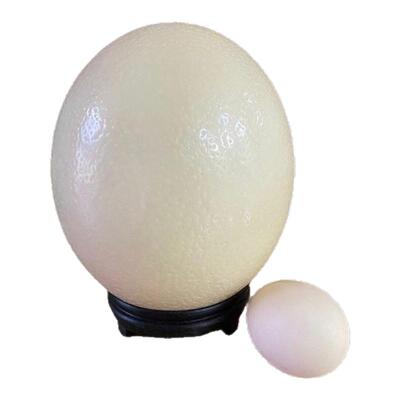 新鲜超大农场直发顺丰包邮礼品