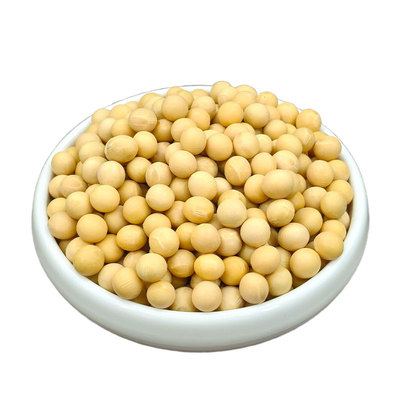 东北黄豆打豆浆专用大豆农家自种非转基因发豆芽豆粒新货5斤批发