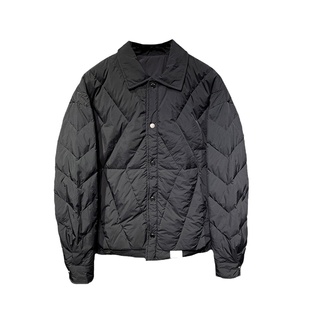 TELINLU日系时尚宽松轻薄款羽绒服男冬季青年纯色翻领白鸭绒外套