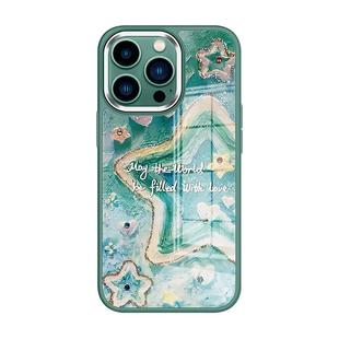 谭松韵纪星同款手机壳17iphone16promax你比星光美丽15苹果14pro绿色星星13por新款玻璃12油画11大孔适用plus