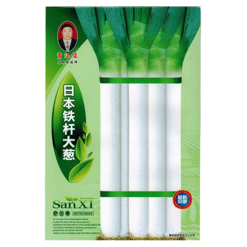 日本钢葱品种铁杆大葱种子 山东蔬菜种子/种苗