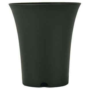 多个万象景天盆塑料育苗花盆圆方型加厚黑色迷你小多肉仙人球盆栽