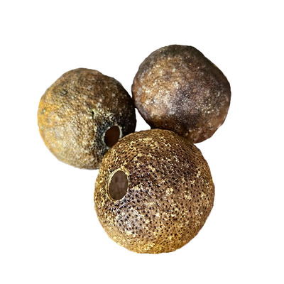 老青皮天马柑壳老树原枝自然陈化