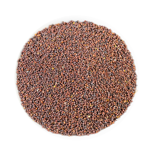 芜菁子中药材500g 蔓菁子 芜菁籽芜青子无青子新鲜野生干货可打粉