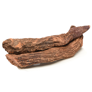 瓜州锁阳整根泡酒料中药材锁阳250g克可配肉苁蓉泡茶水官方旗舰店