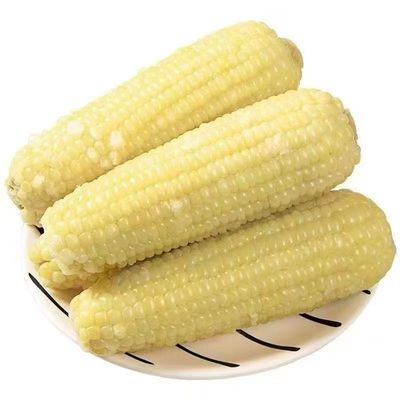 软糯香甜花糯玉米粗粮10根苞米甜玉米段新鲜现摘