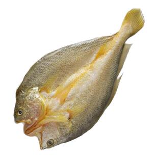 黄鱼鲞黄鱼干台州特产盐渍大黄鱼黄花鱼海鲜咸鱼干货500g一条