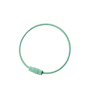 多巴胺钥匙圈挂公仔玩偶防丢掉彩色挂件烤漆钢丝绳手工DIY钥匙扣