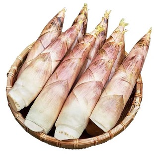 浙江新鲜雷笋春笋竹笋油焖笋鲜笋腌笃鲜临安笋现挖嫩芽笋火锅冬笋