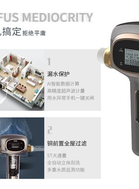 倍世倍瑞康BRISK远程APP主管道漏水保护器全屋净水铜前置过滤器