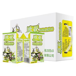 【日期新鲜】欧亚牛奶原味乳酸饮料250g*16盒/箱整箱早餐大理乳品