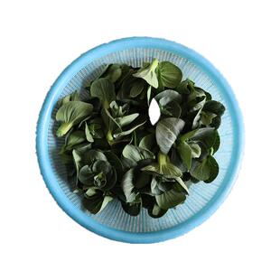 顺丰新鲜霜冻青菜苔甜糯嫩菜心青菜芯现摘新鲜蔬菜油菜菜苔5斤
