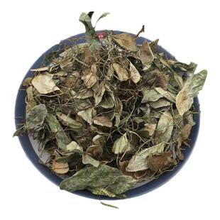 贵州野生抱石莲500g 中药材抱石连石瓜子瓜米菜农产品干货飞莲草