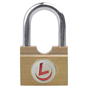 纯铜永固老式家用横开挂锁成力大门防盗大铁锁子柜子宿舍迷你锁头