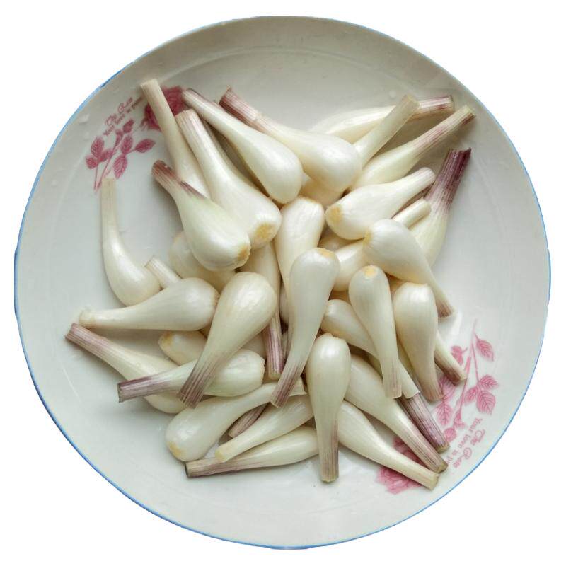 四川藠头新鲜荞头 教头大个叫头农家蔬菜茭头嚼头泡菜食材5斤包邮