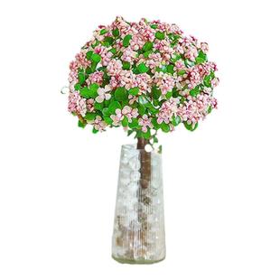 水培植物金枝玉叶盆栽老桩室内绿植多肉花卉办公室招财客厅好养活