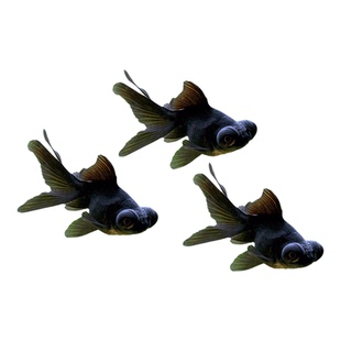 鸿运当头金鱼 狮子头活体观赏鱼 冷水鱼兰寿丹顶红不用加温