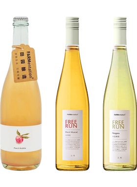 田园酿造爆款火把梨起泡低度酒