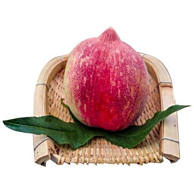 云南正宗丽江雪桃鲜果脆甜现摘发整箱新鲜高山寿桃桃当季水果包邮