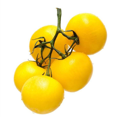 大黄沙瓤硬度高包邮皇妃番茄种子