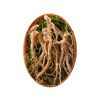 长白山鲜人参残参实惠产地直发