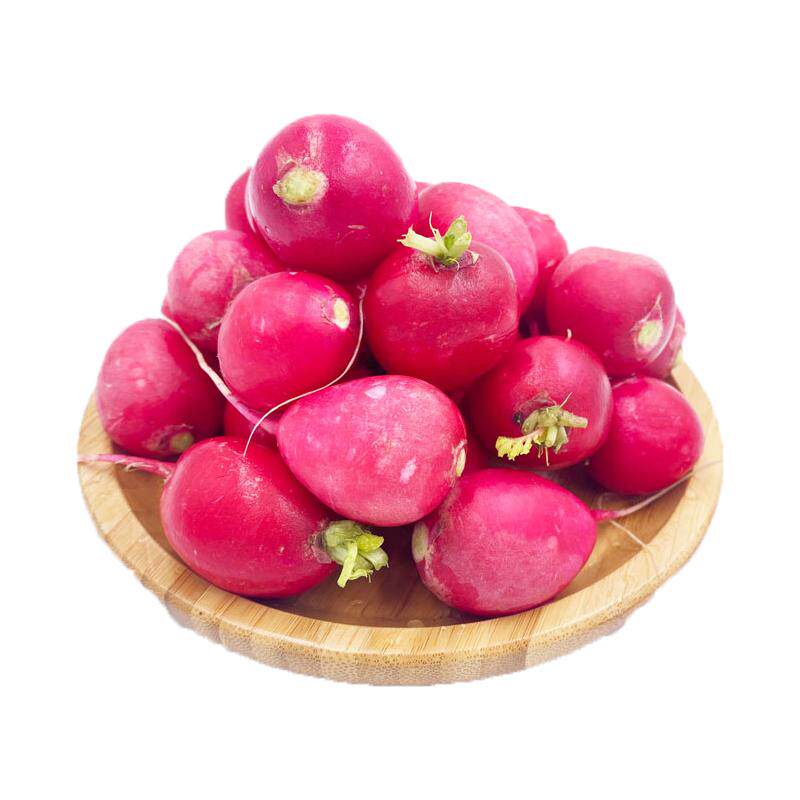 【槿馐】樱桃萝卜500g 迷你小红萝卜 新鲜蔬菜沙拉食材 小圆萝卜