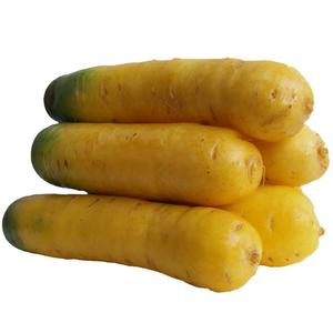 山西运城黄萝卜新鲜胡萝卜新疆手抓饭萝卜农家时令当季疏菜带泥