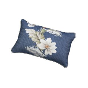 防口水防头油夹乳胶枕套一对装枕巾枕头套保护枕芯生螨家用48X74