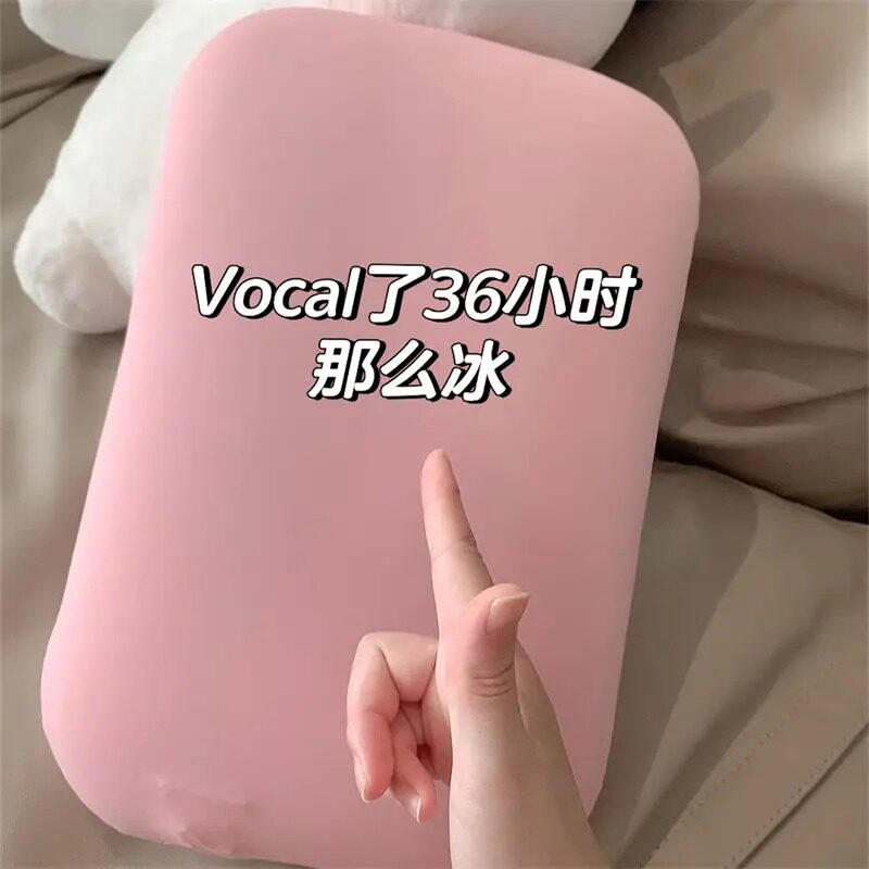 冰枕成人夏天降温枕头免注水助睡眠护颈椎枕芯超柔软猫肚皮记忆枕