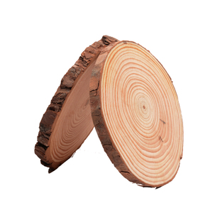 圆木片原木片年轮片手绘实木幼儿园装饰背景墙diy材料手工木头片