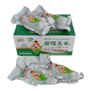 望哈农庄甜糯玉米 新玉米 零添加 轻食 代餐 工厂直营
