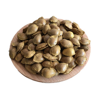 【晋初】晋北农家核现炒山西特产 开口手剥小杏核杏仁新杏核500克