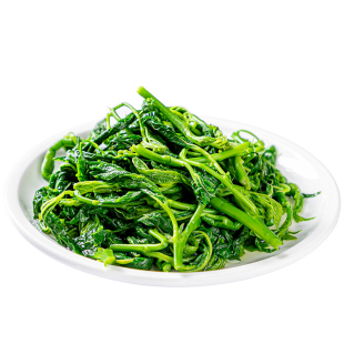 桑叶芽250g桑叶苗桑叶尖桑芽菜上汤火锅炒菜餐饮商用半成品食材