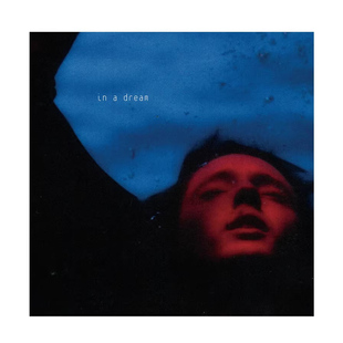 正版Troye Sivan专辑 戳爷in a dream在梦里CD+海报+写真卡特别版