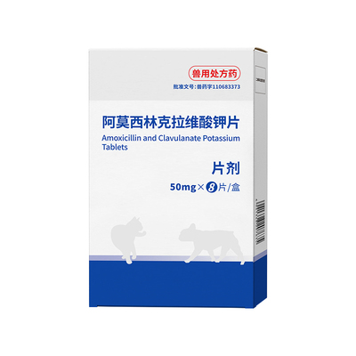 猫咪狗狗感冒阿莫西林克拉维酸钾