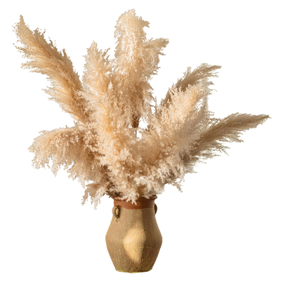 客厅室内落地干花掬涵蒲苇佛尘