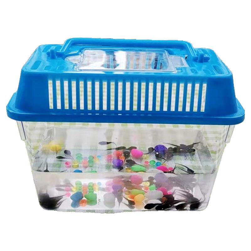 小蝌蚪水族宠物青蛙类蝌蚪饲料幼儿园观察蝌蚪活物活体幼苗小蝌蚪