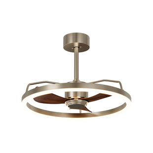 风扇灯吊扇灯2025新款餐厅客厅卧室房间吸顶中古风餐厅灯风扇一体