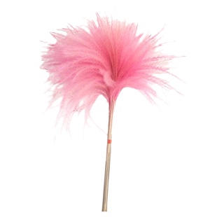 干花芦苇蒲苇花粉色彩色咖啡店摆件橱窗装饰道具韩风时尚北欧风格