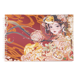 三渡手账胶带收纳图鉴本A4A5pet双面加厚手账离型纸本非活页线圈