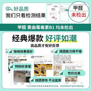 实惠装 包邮 除臭几近无尘混合幼猫沙20省 豆腐猫砂10公斤防臭实惠装