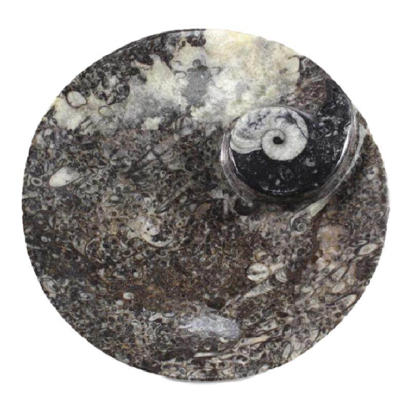 现 纽约下城公园进口悠远的记忆摩洛哥化石大理石盘杯垫6件