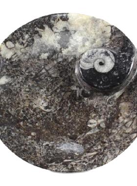 现 纽约下城公园进口悠远的记忆摩洛哥化石大理石盘杯垫6件