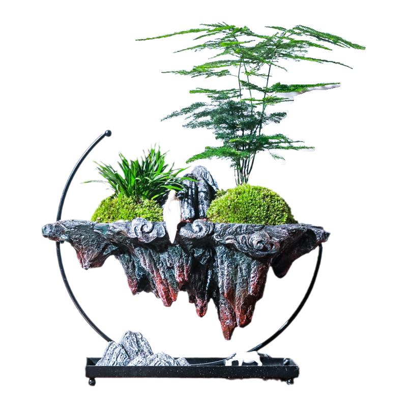 悬浮天空之城文竹桌面艺术盆景室内办公室绿植物乔迁送礼茶室盆栽