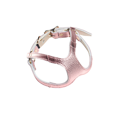 牵引绳胸背夏季可爱狗泰迪调节