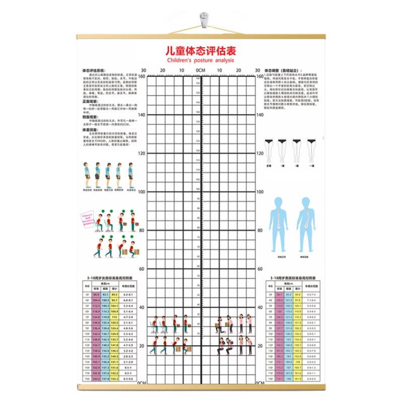 定制壁画体态评估图挂式可加logo